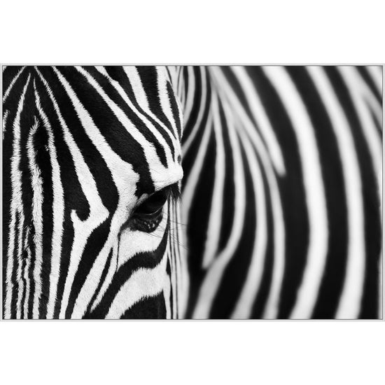 Seeing Stripes