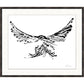 Wingspan